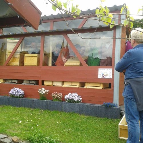 Bienenstand