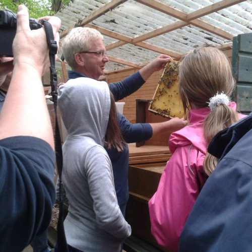 Besuch auf dem Bienenstand