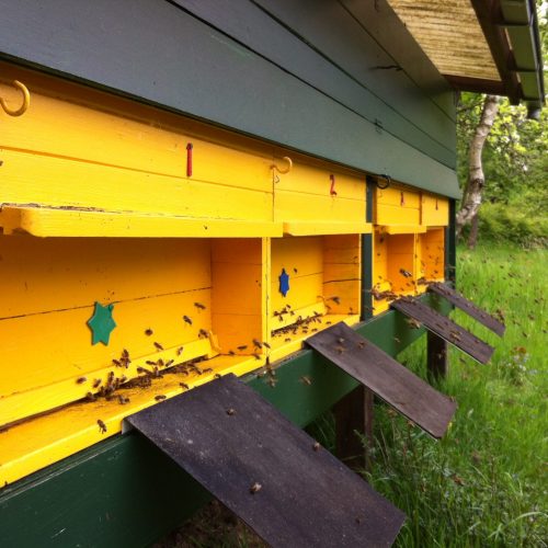Bienenstand2